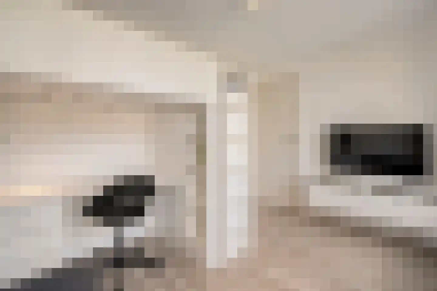 Gloxiniaweg 5 Zwolle thumbnail 30