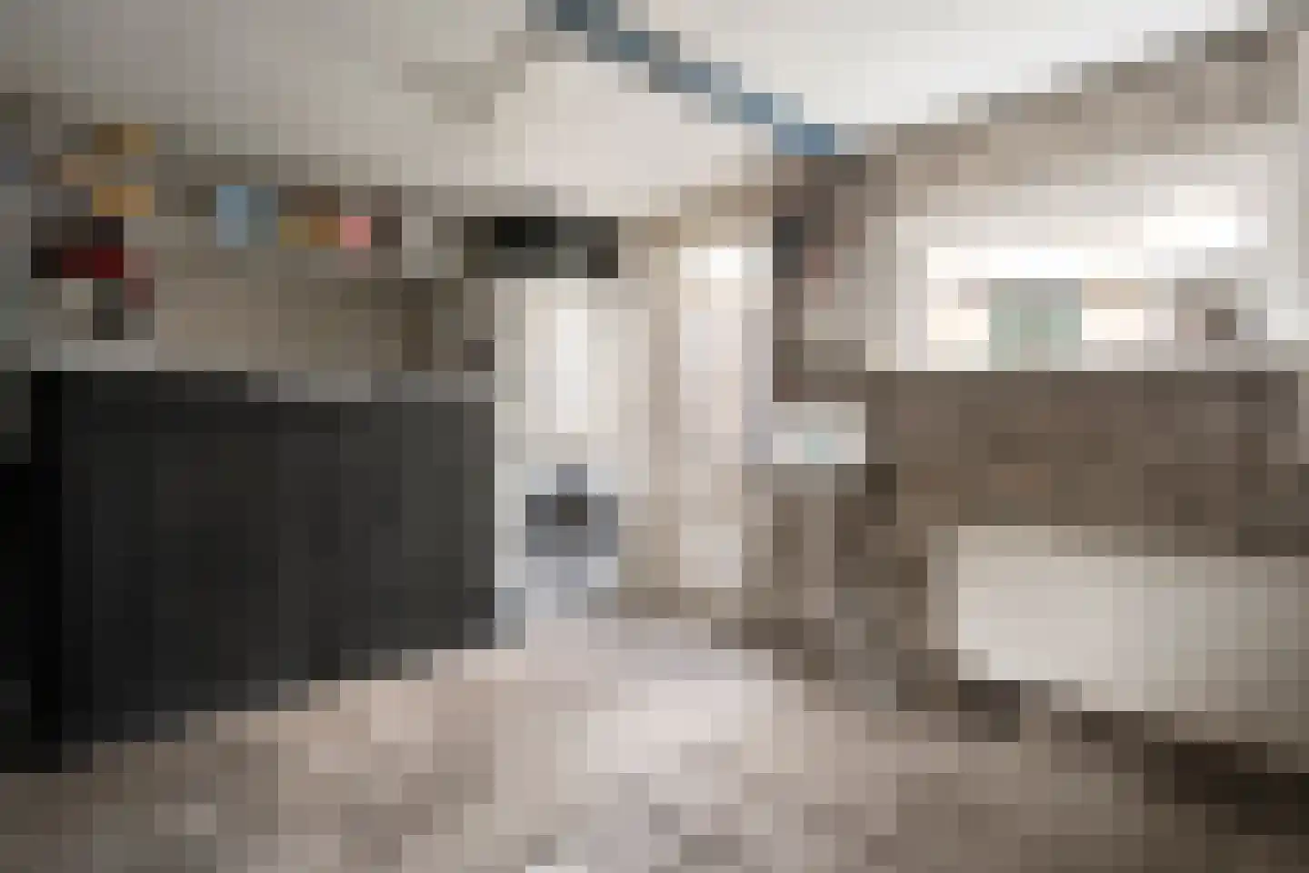Gloxiniaweg 5 Zwolle thumbnail 43