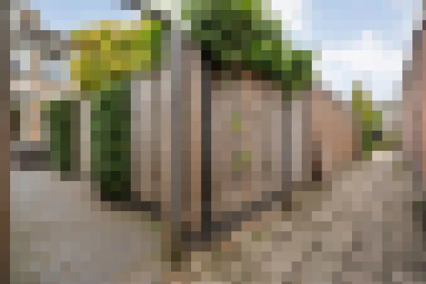 Gloxiniaweg 5 Zwolle thumbnail 44