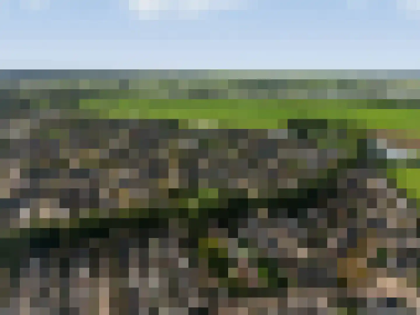 Gloxiniaweg 5 Zwolle thumbnail 49