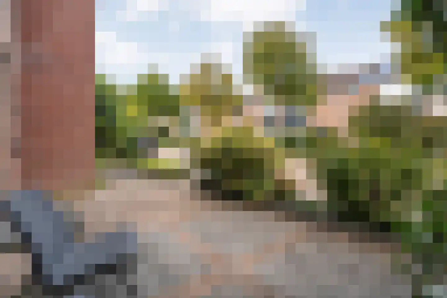 Gloxiniaweg 5 Zwolle thumbnail 6