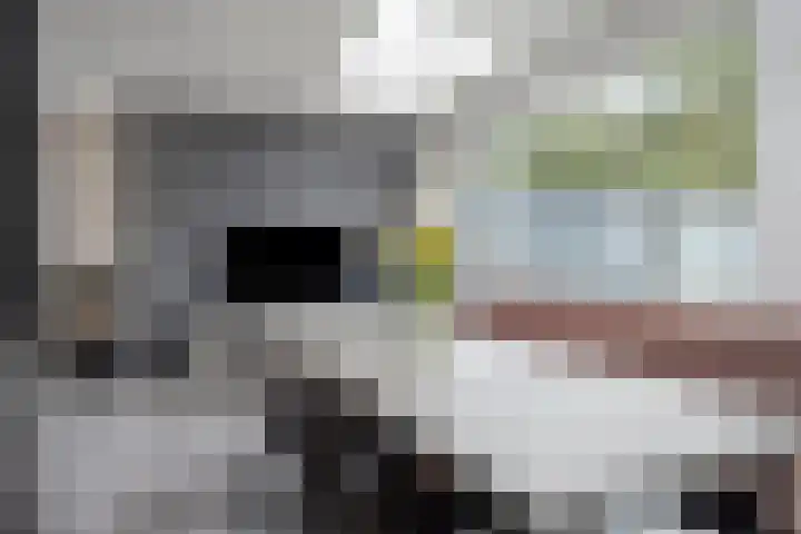 Gluckstraat 14 Tilburg thumbnail 10