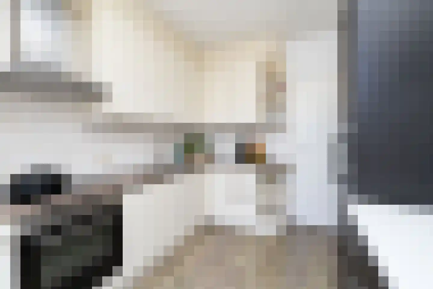 Gluckstraat 35 Tilburg thumbnail 13