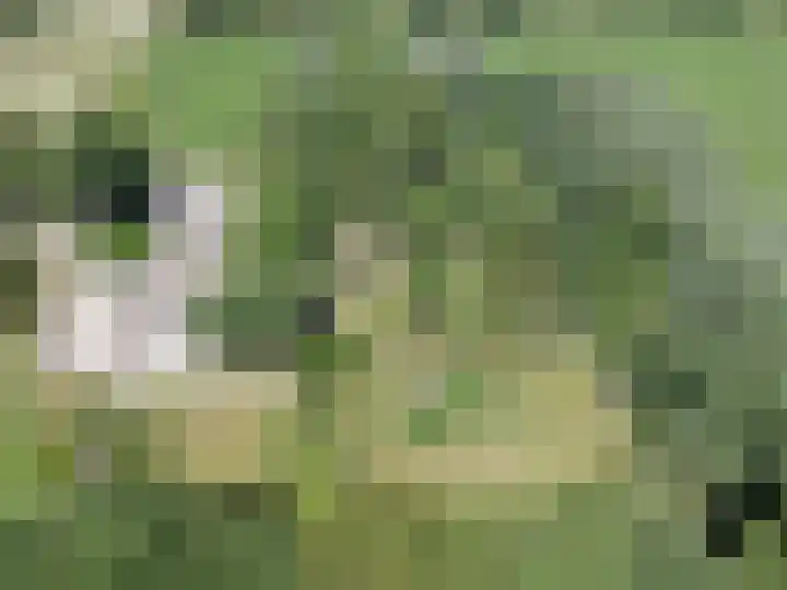 Gluvinksweg 9 Dalen thumbnail 11