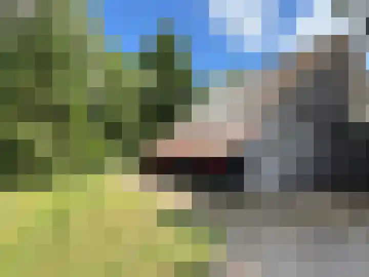 Gluvinksweg 9 Dalen thumbnail 15
