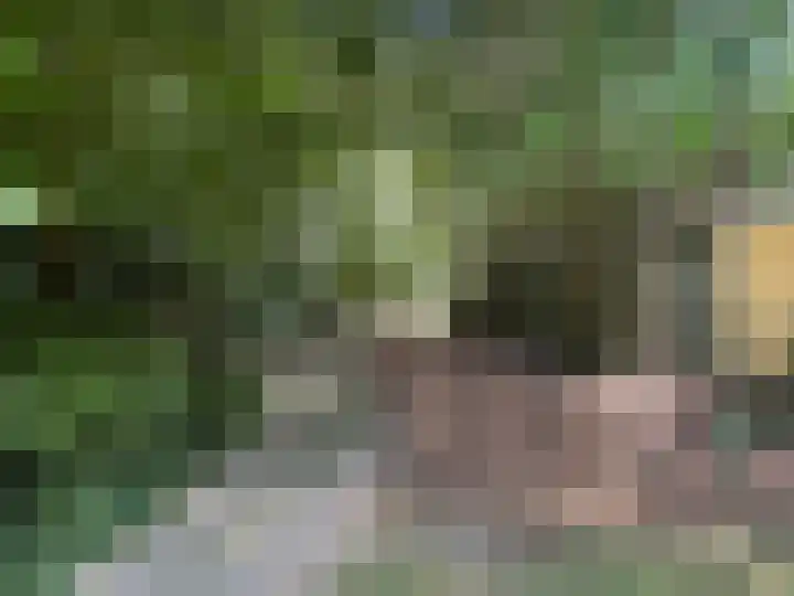 Gluvinksweg 9 Dalen thumbnail 19
