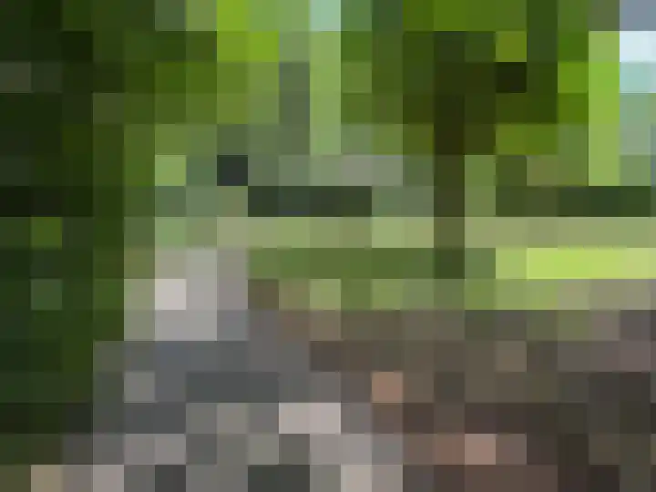 Gluvinksweg 9 Dalen thumbnail 20