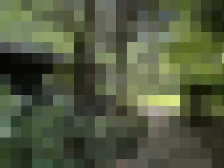 Gluvinksweg 9 Dalen thumbnail 24