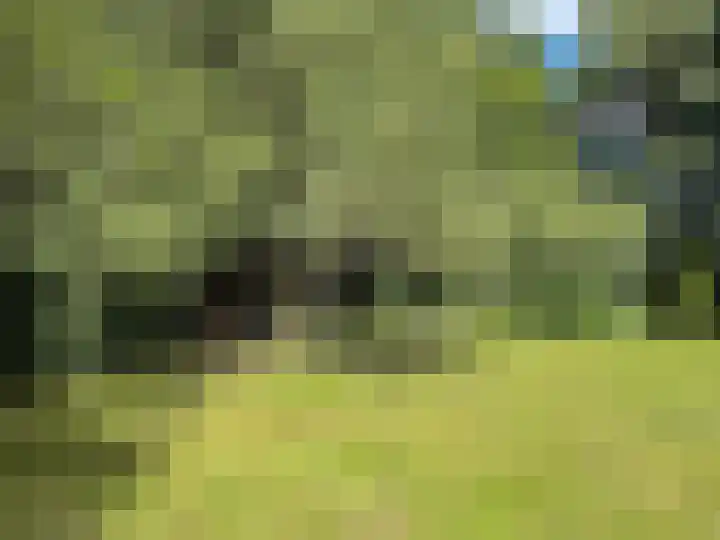 Gluvinksweg 9 Dalen thumbnail 25
