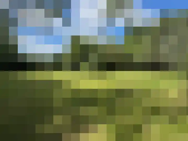 Gluvinksweg 9 Dalen thumbnail 28