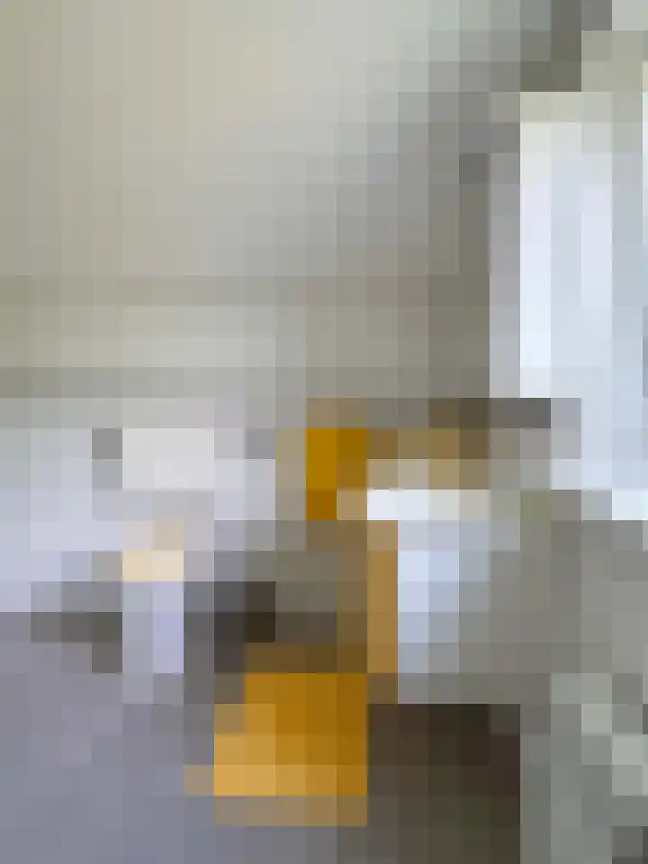 Gluvinksweg 9 Dalen thumbnail 47