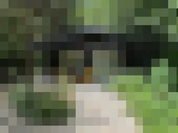 Gluvinksweg 9 Dalen thumbnail 55