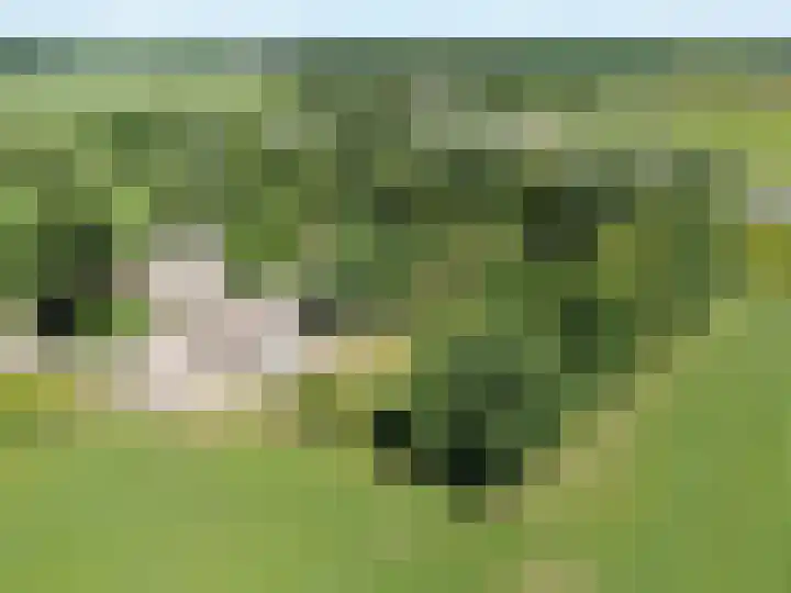 Gluvinksweg 9 Dalen thumbnail 64