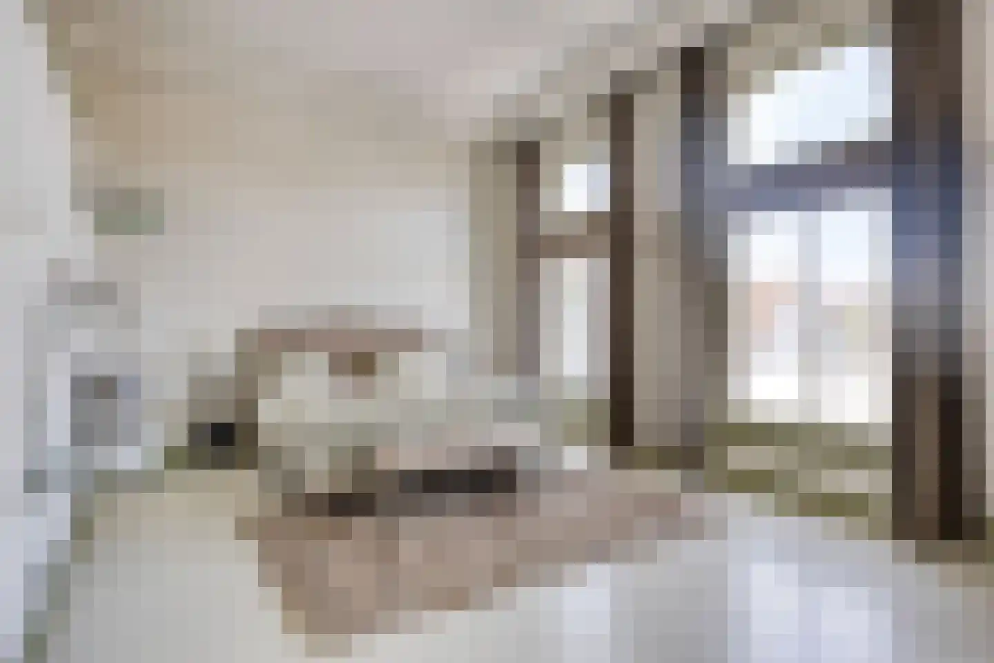 Glymesstraat 1 Bergen op Zoom thumbnail 8