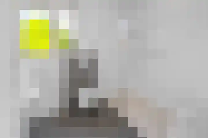 Glymesstraat 16 Wouw thumbnail 30
