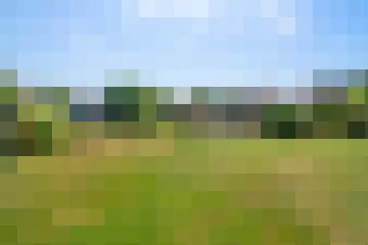 Glymesstraat 16 Wouw thumbnail 36
