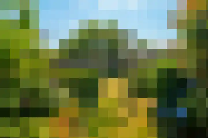 Glymesstraat 16 Wouw thumbnail 38