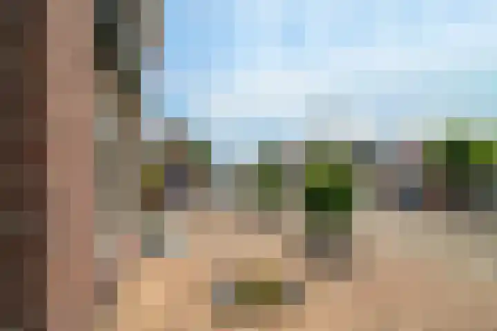 Glymesstraat 16 Wouw thumbnail 47