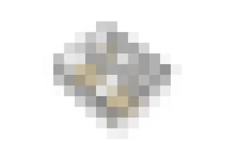 Glymesstraat 16 Wouw thumbnail 65