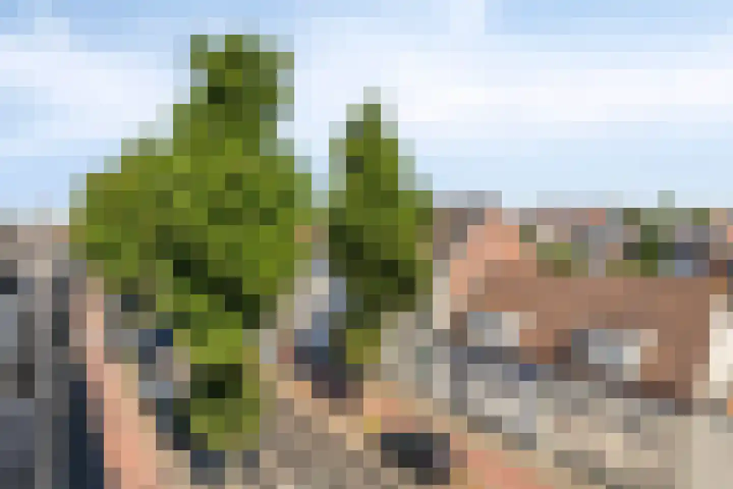 Glymesstraat 3 c Bergen op Zoom thumbnail 19