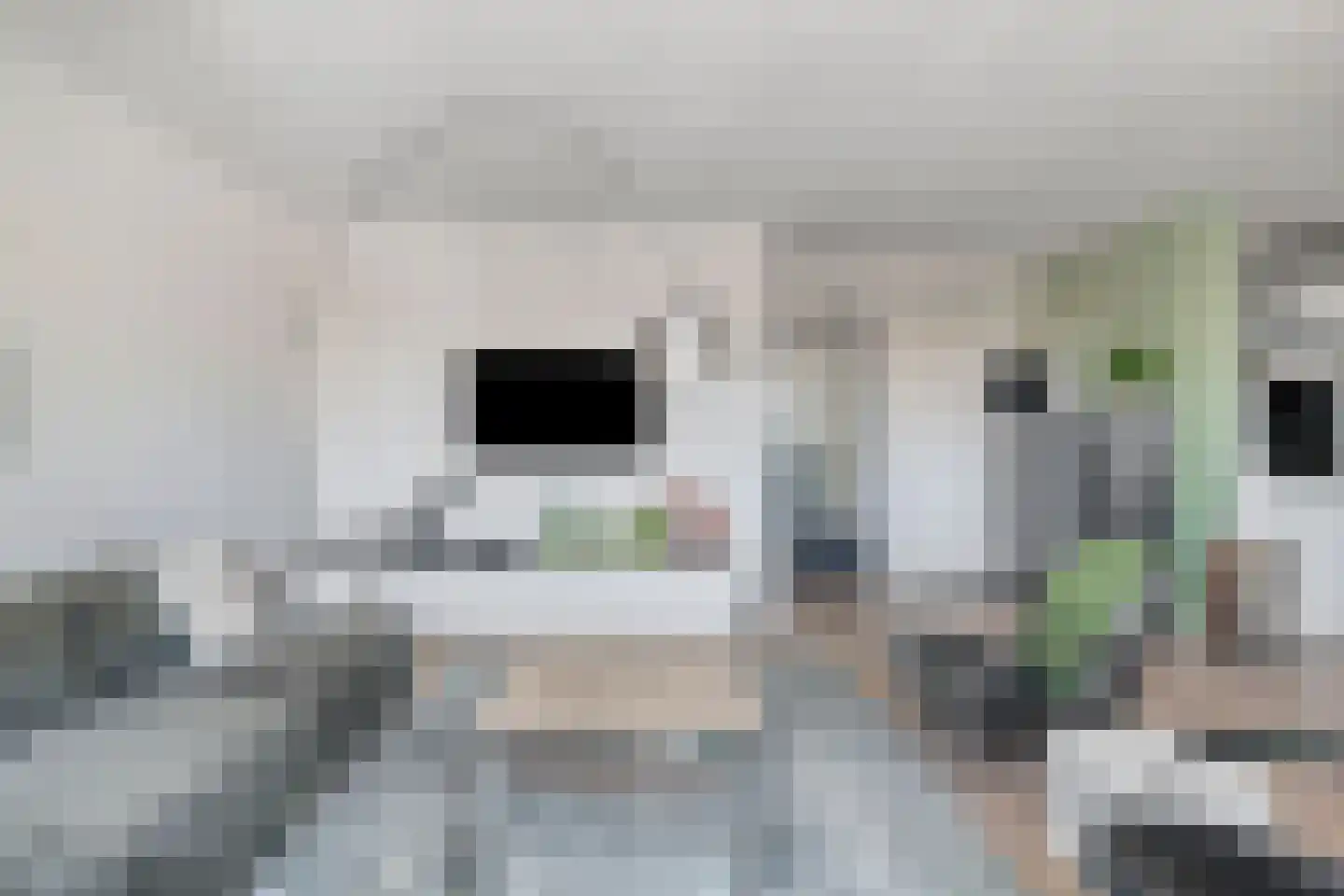 Glymesstraat 3 c Bergen op Zoom thumbnail 4