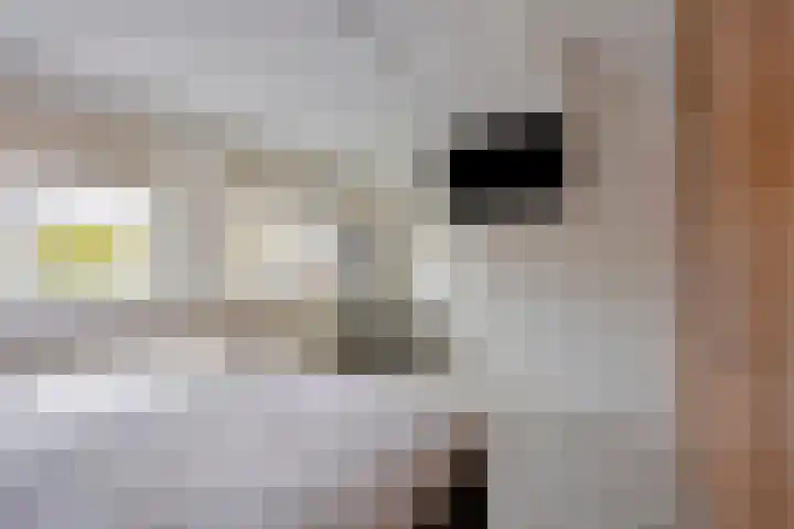 Glymesstraat 32 Bergen op Zoom thumbnail 16