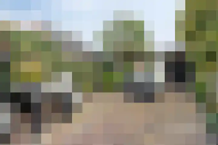 Glymesstraat 32 Bergen op Zoom thumbnail 7