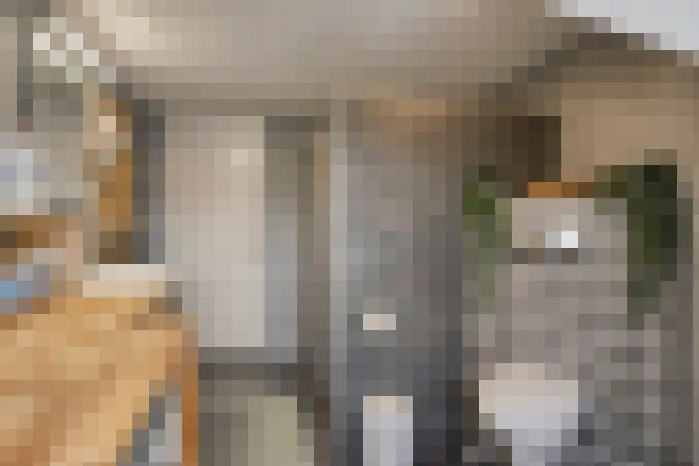 Glymesstraat 34 Bergen op Zoom thumbnail 17