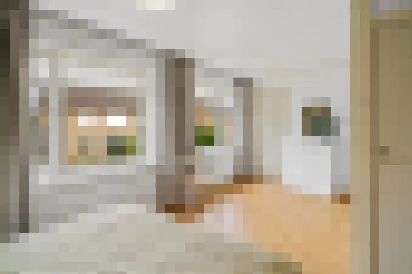 Glymesstraat 4 Wouw thumbnail 24