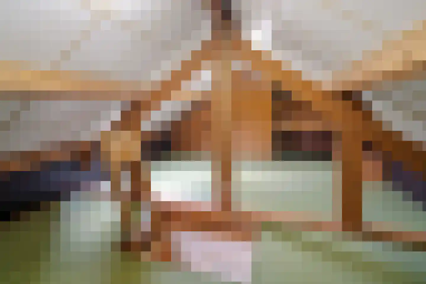 Glymesstraat 4 Wouw thumbnail 32
