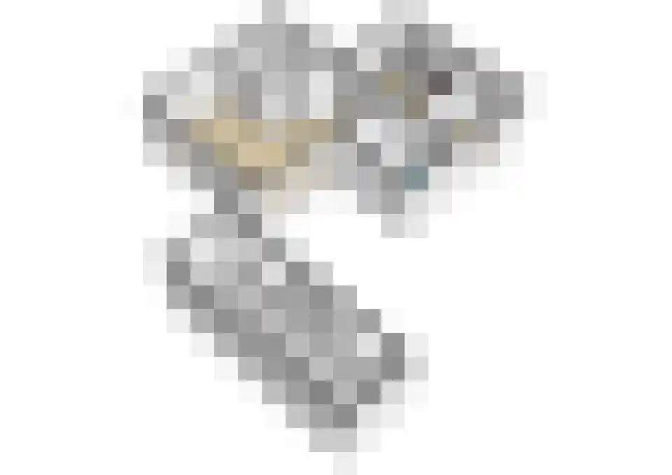 Glymesstraat 4 Wouw thumbnail 59