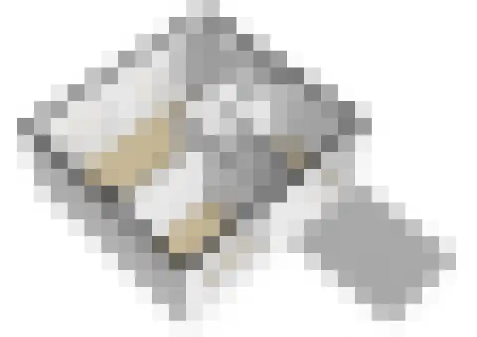 Glymesstraat 4 Wouw thumbnail 60