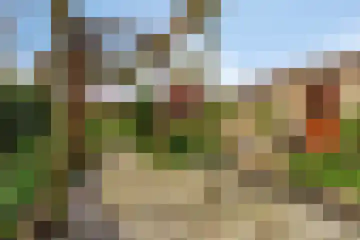 Glymesstraat 9 Wouw thumbnail 28