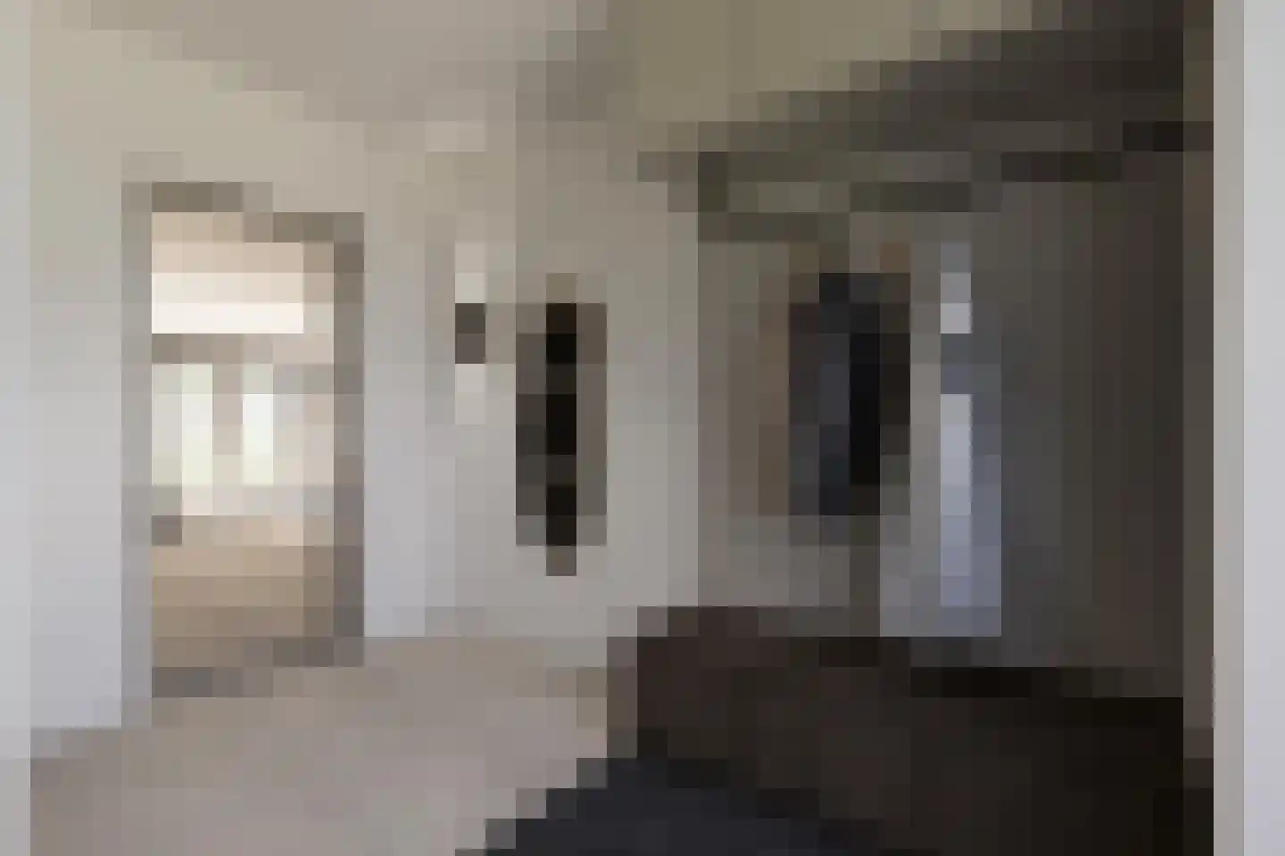 Gnephoek 15 Alphen aan den Rijn thumbnail 11
