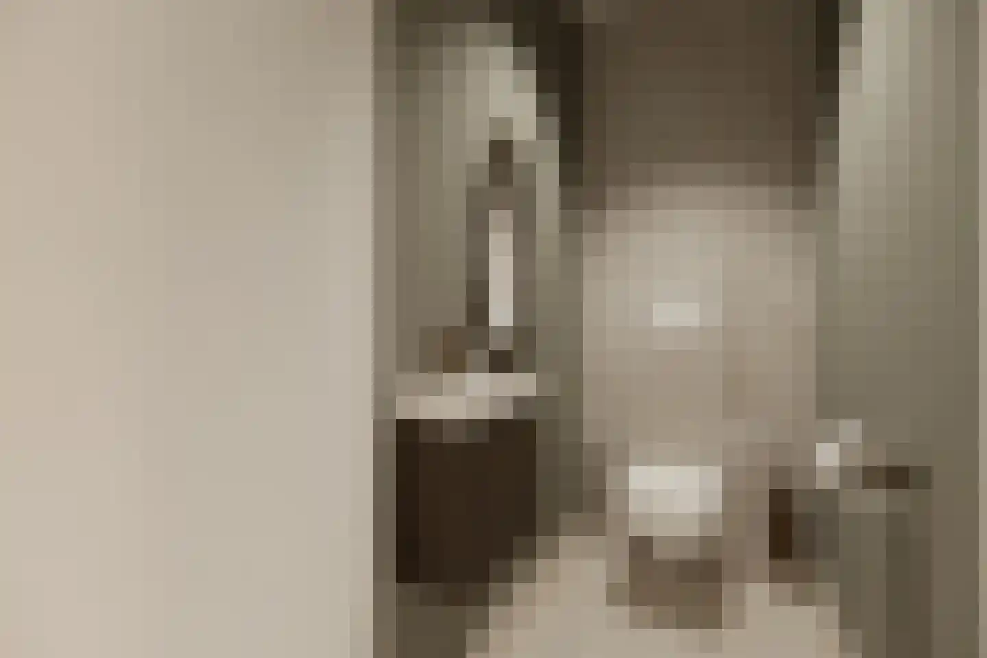 Gnephoek 15 Alphen aan den Rijn thumbnail 12