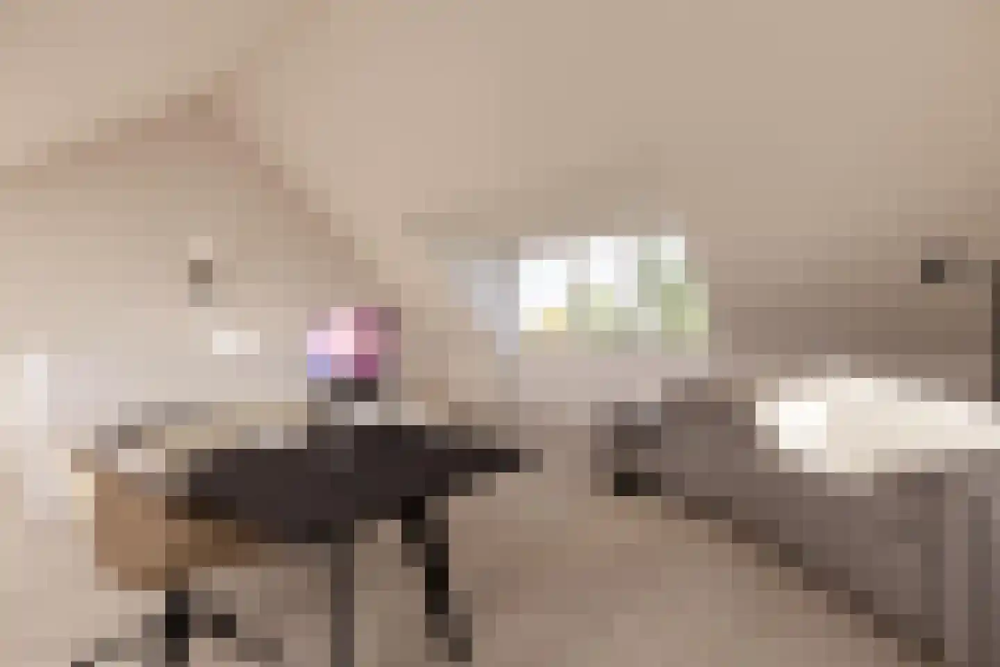 Gnephoek 15 Alphen aan den Rijn thumbnail 22