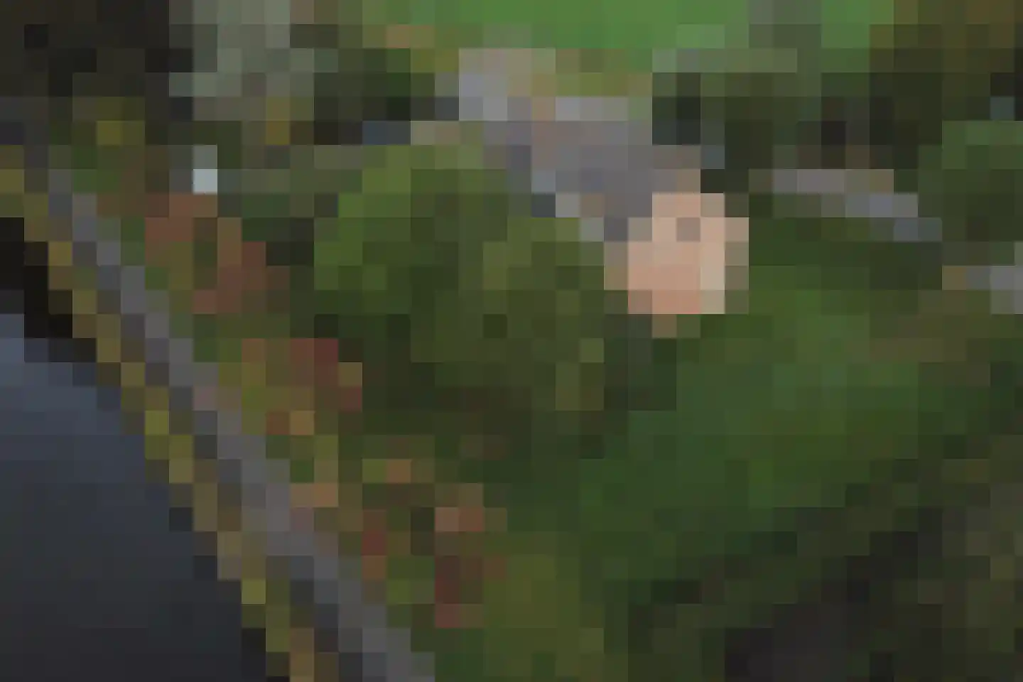 Gnephoek 15 Alphen aan den Rijn thumbnail 31
