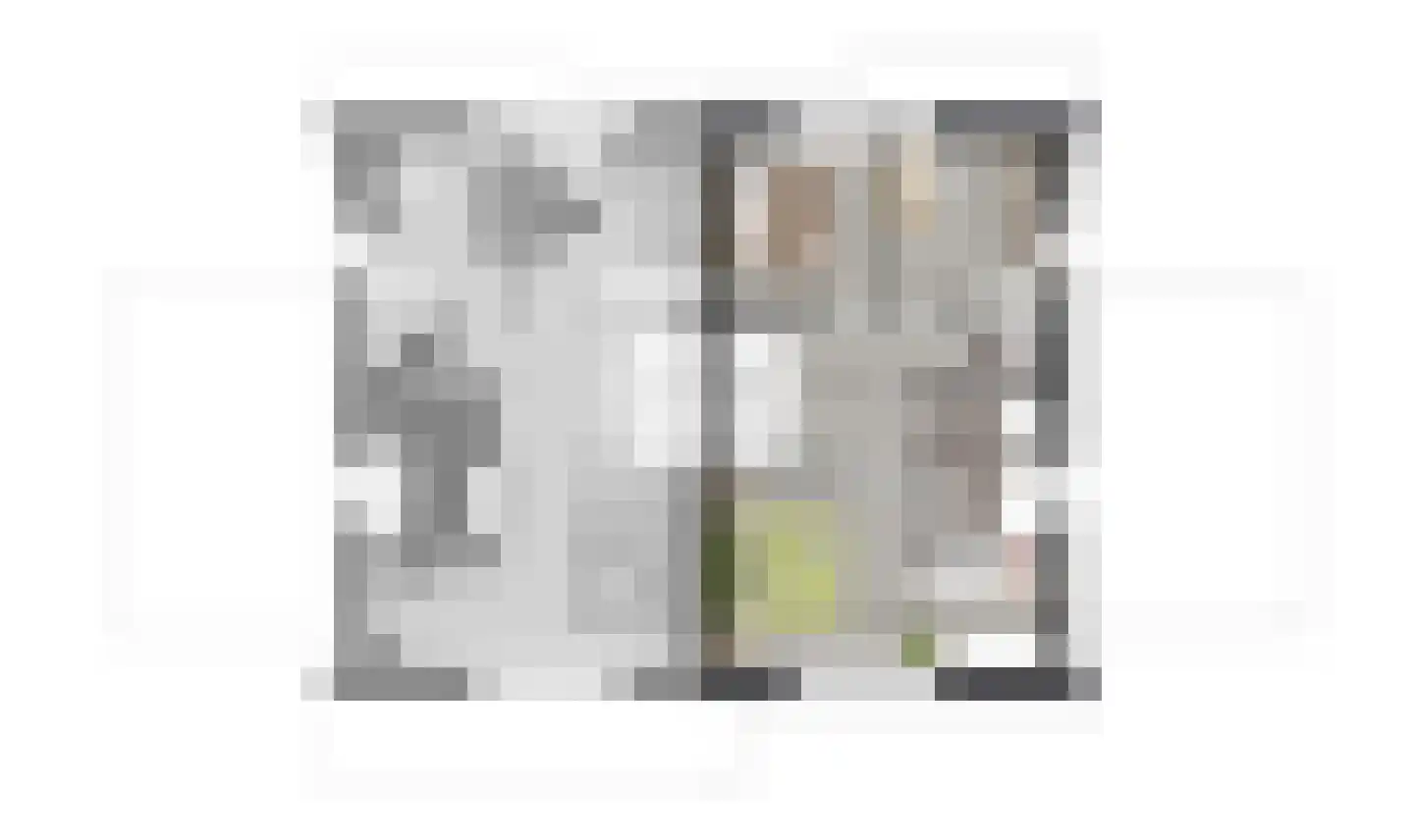 Gnephoek 15 Alphen aan den Rijn thumbnail 38
