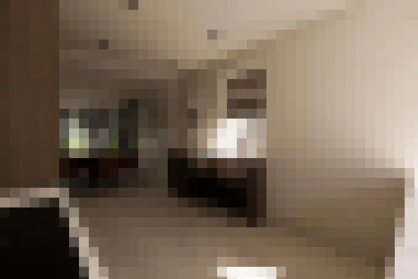 Gnephoek 15 Alphen aan den Rijn thumbnail 7