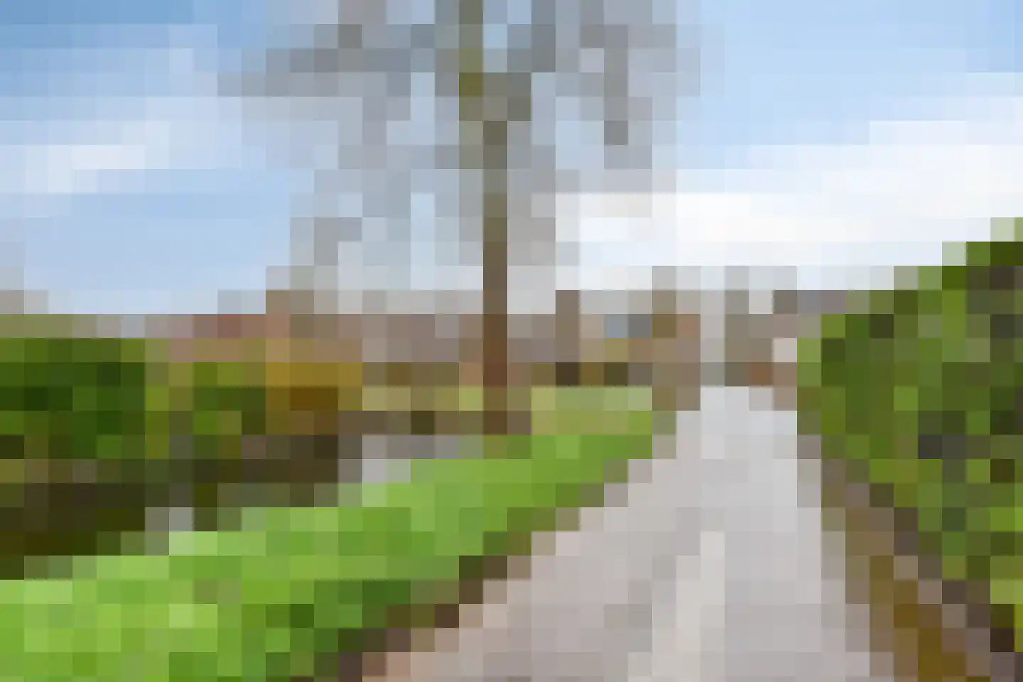 Gnephoekpolderstraat 35 Gouda thumbnail 35