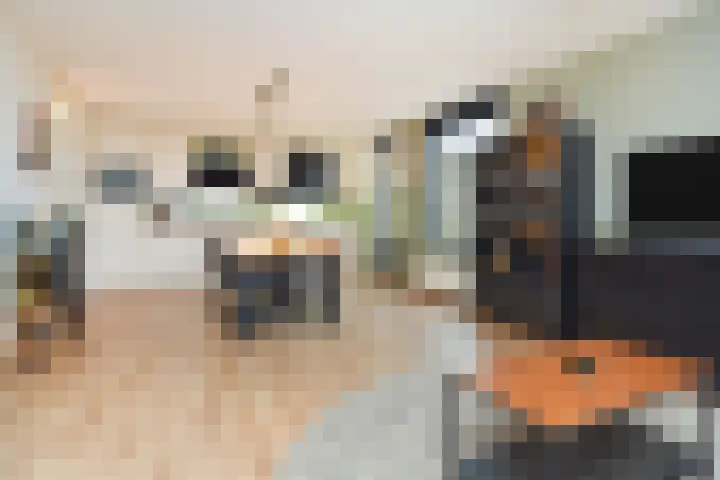 Gnephoekpolderstraat 35 Gouda thumbnail 8