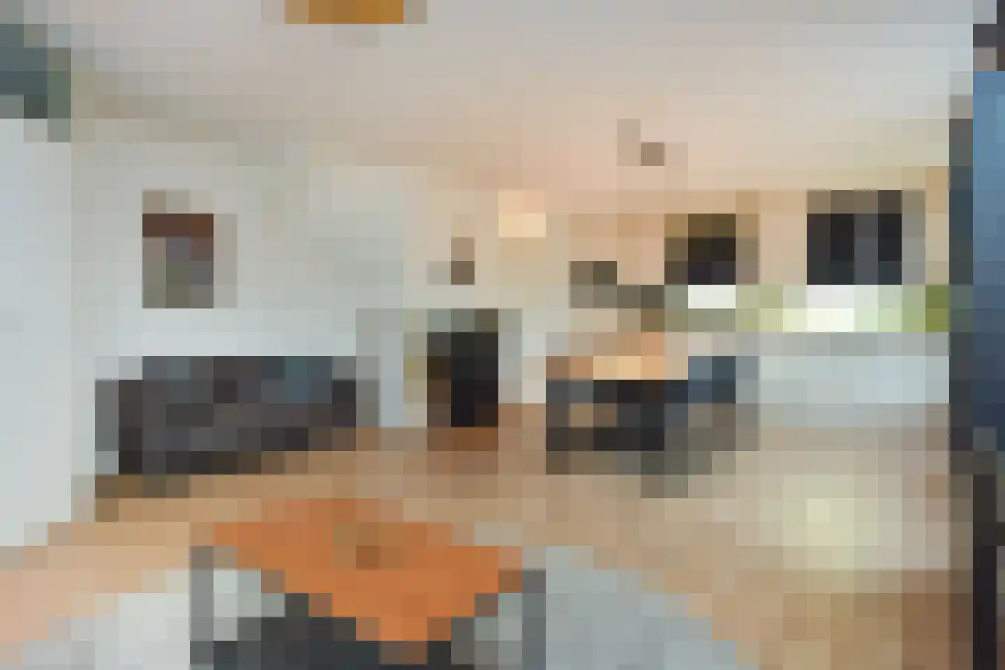 Gnephoekpolderstraat 35 Gouda thumbnail 9