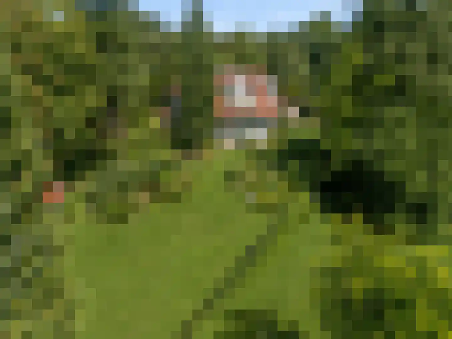 Gnoelaan 11 5 Hilversum thumbnail 25