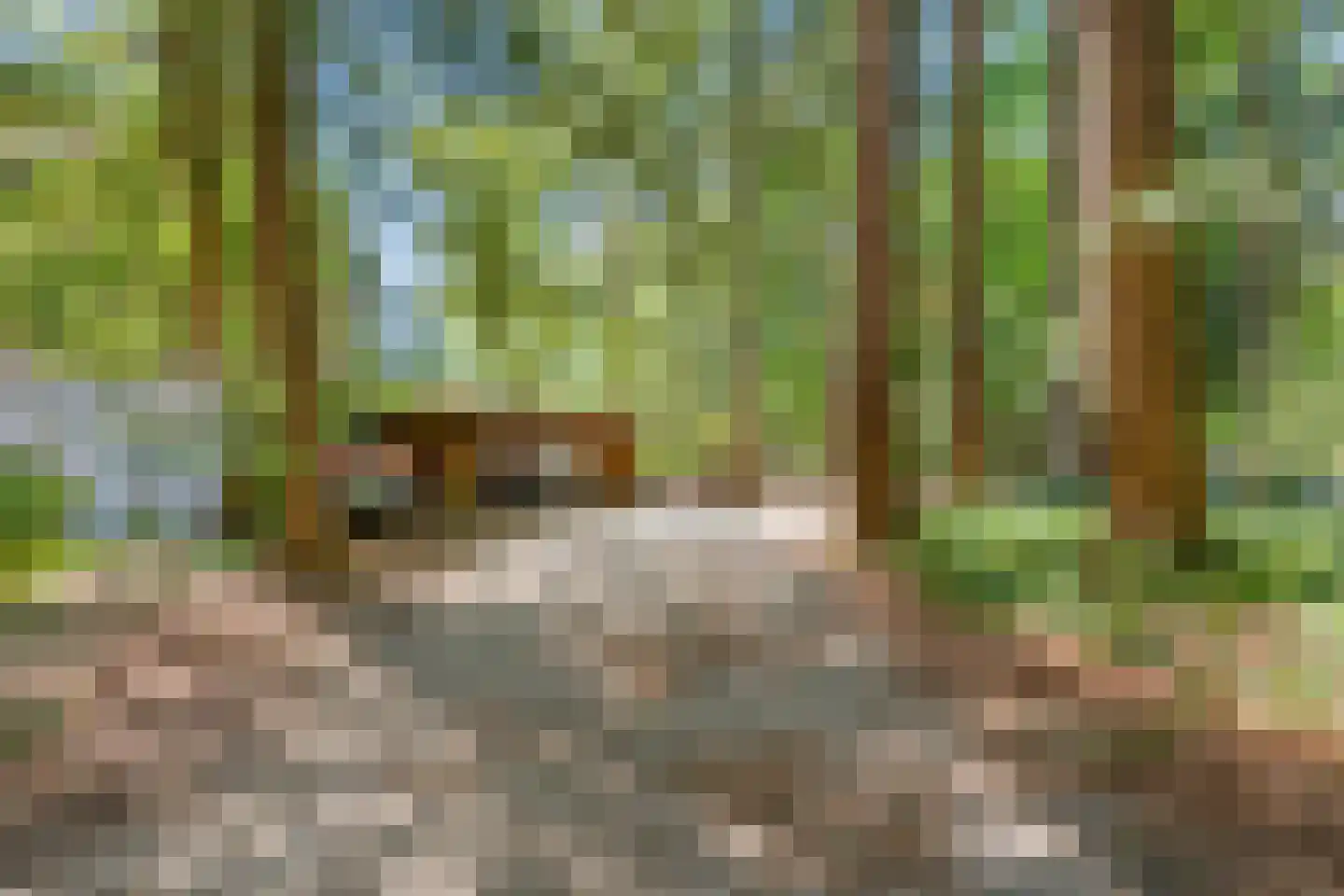 Gnoelaan 11 5 Hilversum thumbnail 34