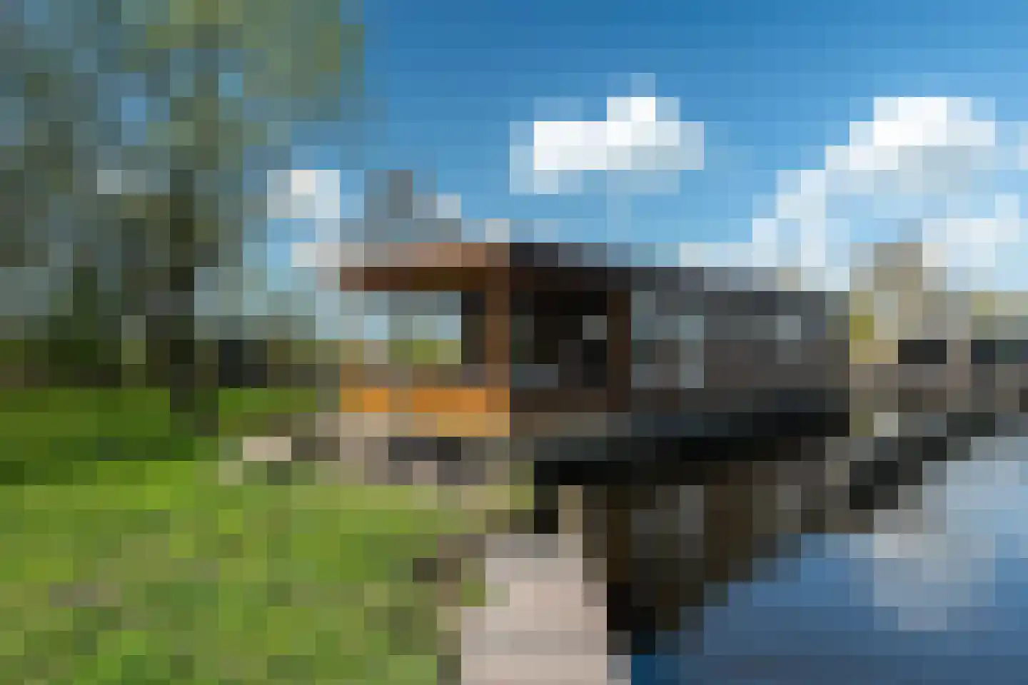 Goatum 7 Grou thumbnail 11