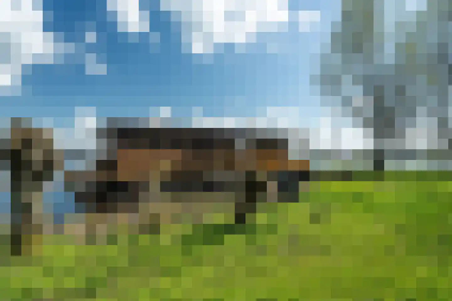 Goatum 7 Grou thumbnail 25