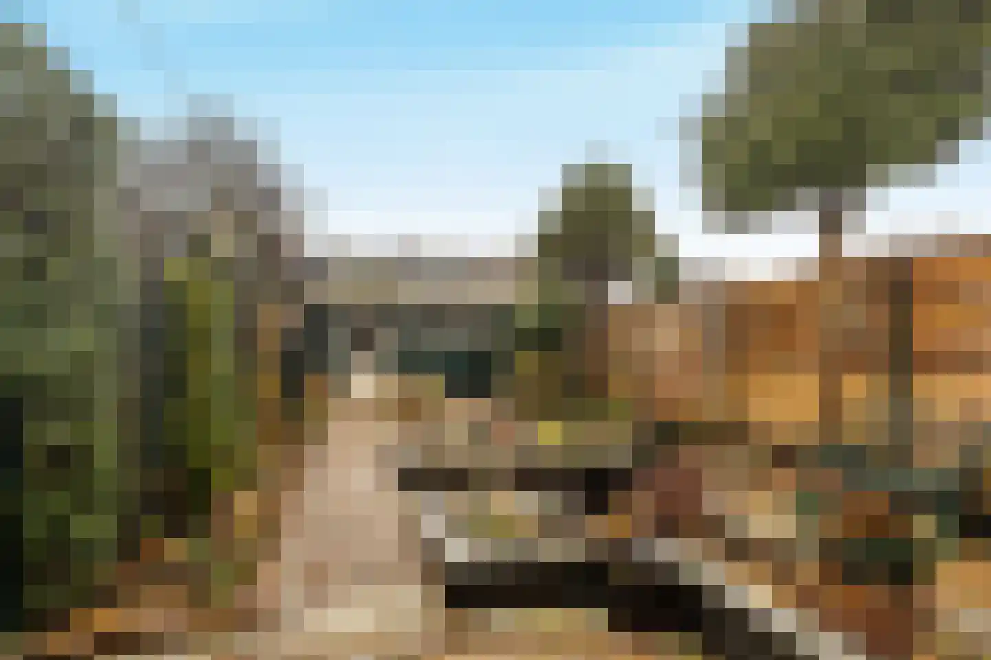 Gobatstraat 17 Castricum thumbnail 15