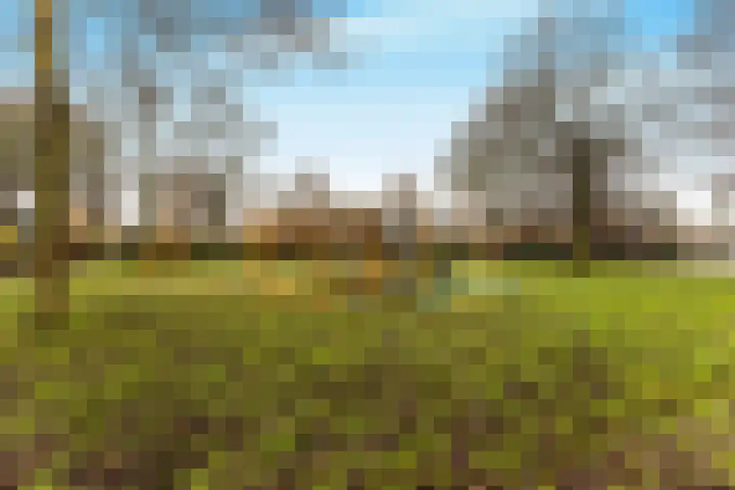 Gobatstraat 17 Castricum thumbnail 42