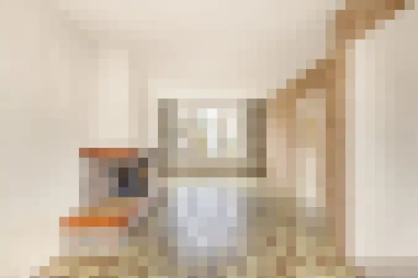 Gobatstraat 17 Castricum thumbnail 7