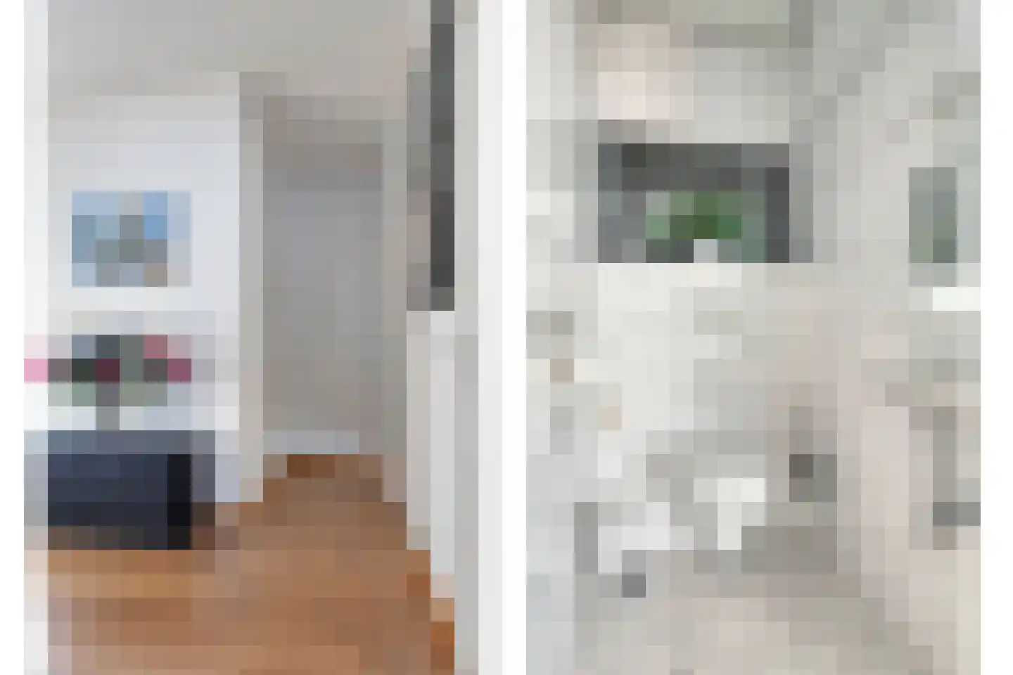 Gobiusstraat 2 Oostburg thumbnail 7